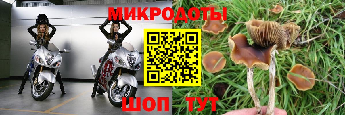 Галлюциногенные грибы Psilocybine cubensis  Галлюциногенные грибы мухоморы  Вход с VPN  наркошоп  Красноуфимск 